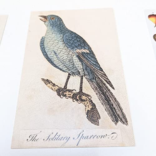 John Derian Picture Book ジョンデリアン * HI-3D-COVER-John-Derian-